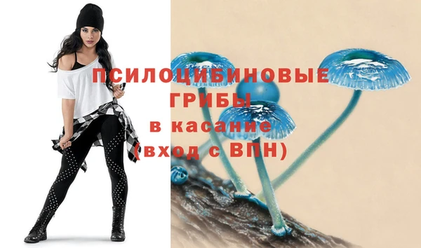 сатива Баксан