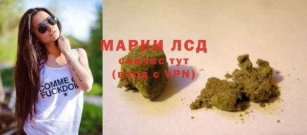 сатива Баксан