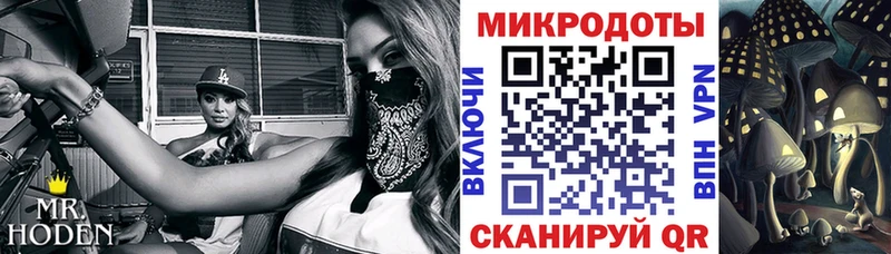 Псилоцибиновые грибы Magic Shrooms  наркота  MEGA онион  Красный Холм 